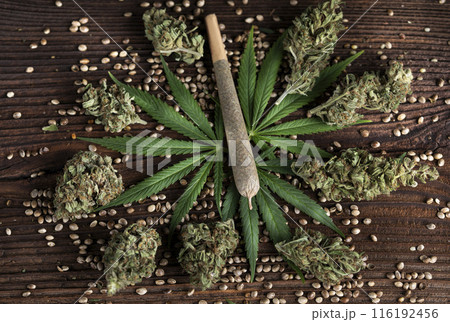Blunt, Cbd, Marijuana bud with cannabis Blunt, Cbd, Marijuana bud with cannabis 116192456