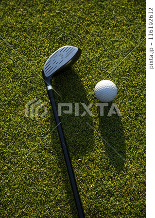 Closeup Golf ball on green grass on course, Sport and lifestyle Closeup Golf ball on green grass on course, Sport and lifestyle 116192612
