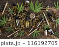 Cbd oil and marijuana plant, hemp seeds, medical marijuana concept 116192705