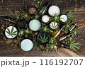 Cannabis cosmetics oil and medical marijuana 116192707