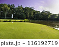 Golf course in green field 116192719