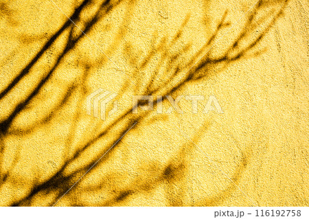 Shadow of tree branches on a yellow textured wall, creating an abstract pattern, background. 116192758