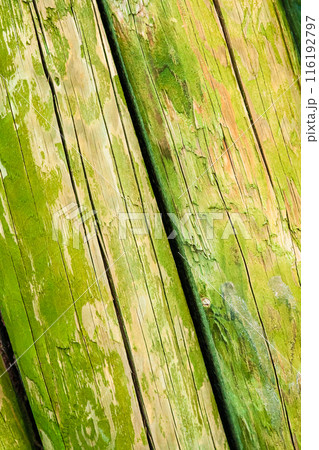 Close up of weathered wooden planks with green moss and peeling paint, texture, background. Close up of weathered wooden planks with green moss and peeling paint, texture, background. 116192797