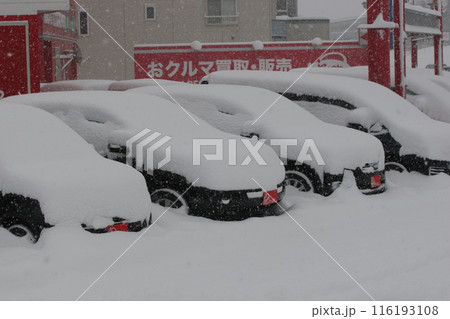 青森市内は大雪警報 116193108