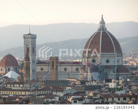Florence, Tuscany, Italy Florence, Tuscany, Italy 116193343
