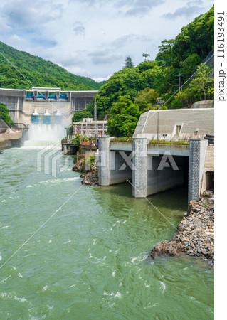 京都府宇治市　梅雨時の調整放水を行っている天ケ瀬ダムと放水口 116193491