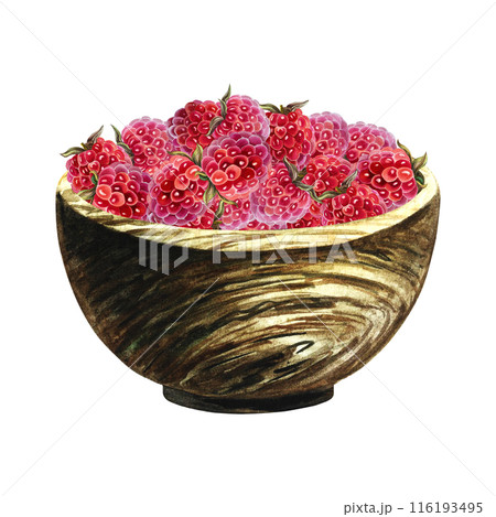 Raspberries in a wooden vase. Harvest juicy ripe berries. A hand-drawn watercolor illustration. Highlight it. For packaging, labels and flyers. For banners, stickers and postcards. Raspberries in a wooden vase. Harvest juicy ripe berries. A hand-drawn watercolor illustration. Highlight it. For packaging, labels and flyers. For banners, stickers and postcards. 116193495