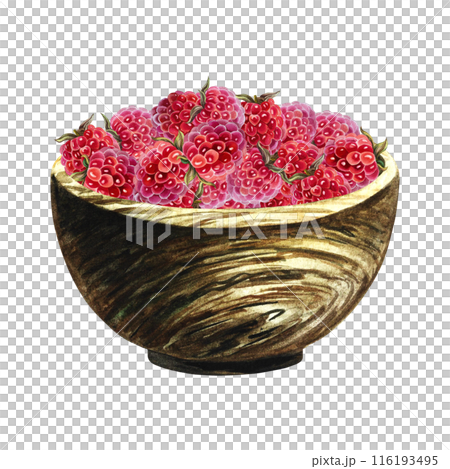 Raspberries in a wooden vase. Harvest juicy ripe berries. A hand-drawn watercolor illustration. Highlight it. For packaging, labels and flyers. For banners, stickers and postcards. Raspberries in a wooden vase. Harvest juicy ripe berries. A hand-drawn watercolor illustration. Highlight it. For packaging, labels and flyers. For banners, stickers and postcards. 116193495