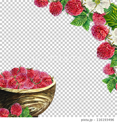 A frame with an image of raspberries in a wooden vase and twigs. Ripe berries. A hand-drawn watercolor illustration. Highlight it. For packages, labels and flyers. For banners, stickers and postcards. 116193496