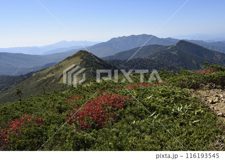 至仏山登山、尾瀬、群馬県 至仏山登山、尾瀬、群馬県 116193545