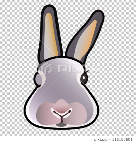 Rabbit face illustration 116193601
