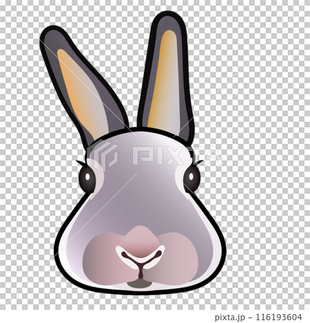 Rabbit face illustration 116193604