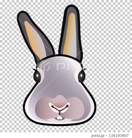 Rabbit face illustration 116193607