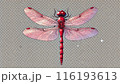 赤とんぼ 116193613