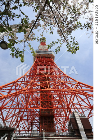 東京のランドマーク東京タワーの風景 116193855