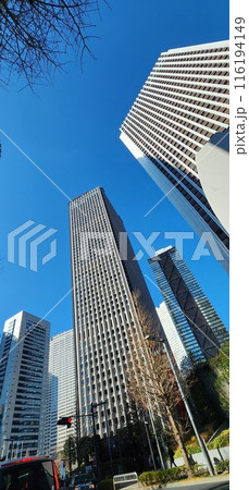 都会の風景　ビル群 116194149