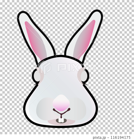 Rabbit face illustration 116194175