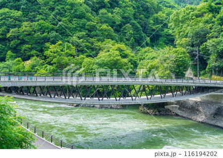 京都府宇治市 天ケ瀬ダムと下流の優美な白虹橋 京都府宇治市 天ケ瀬ダムと下流の優美な白虹橋 116194202