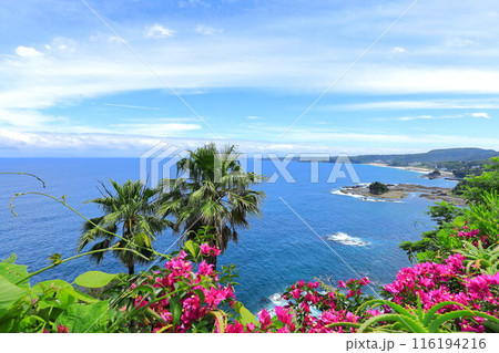 伊豆尾ヶ崎ウイングからの風景 116194216