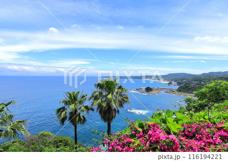 伊豆尾ヶ崎ウイングからの風景 伊豆尾ヶ崎ウイングからの風景 116194221