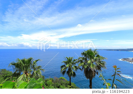 伊豆尾ヶ崎ウイングからの風景 116194223