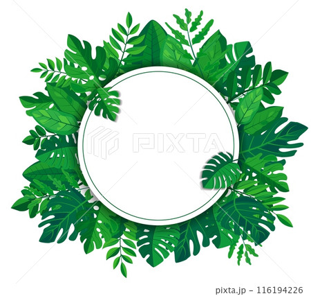 vector features a vibrant green leaves frame surrounding a blank white rectangular space perfect for mockups or copy space. lush foliage adds a touch of nature and freshness to any design vector features a vibrant green leaves frame surrounding a blank white rectangular space perfect for mockups or copy space. lush foliage adds a touch of nature and freshness to any design 116194226