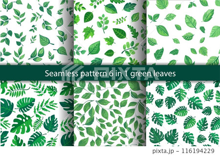 seamless pattern of vibrant green leaves on a white background. Various leaf shapes and sizes create a fresh, natural, tropical appearance, perfect for eco-friendly or botanical projects set 6 in 1 116194229