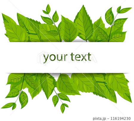 A vector featuring a square white frame embellished with vibrant green leaves. lush foliage surrounds the frame, creating a fresh, natural, and eco-friendly theme suitable. Mockup, template 116194230
