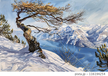 Winter landscape with snow-covered tree overlooking mountain lake Winter landscape with snow-covered tree overlooking mountain lake 116194254