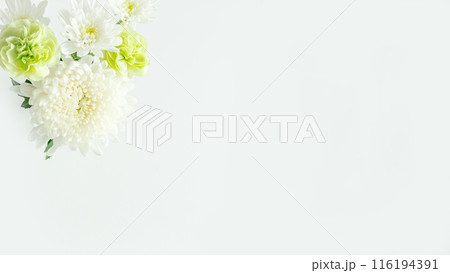 白いお供え花の背景　大菊　コピースペース 116194391