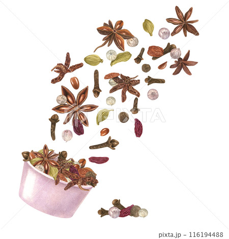 Cardamom, star anise, clove, raisin and white pepper in pink bowl. Flying rich aroma winter spice. Aroma ingredients for Xmas drinks and bakery. Organic food. Watercolor illustration for menu design 116194488