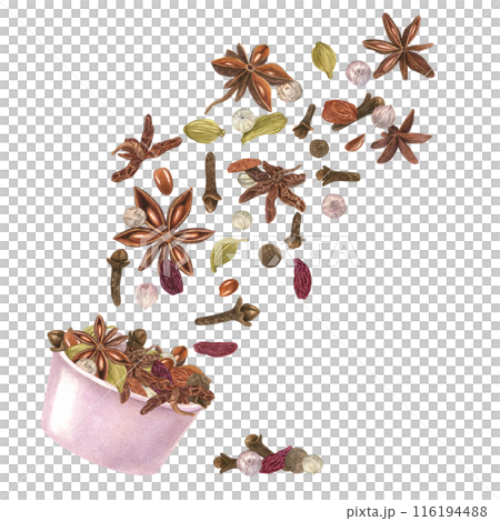Cardamom, star anise, clove, raisin and white pepper in pink bowl. Flying rich aroma winter spice. Aroma ingredients for Xmas drinks and bakery. Organic food. Watercolor illustration for menu design 116194488