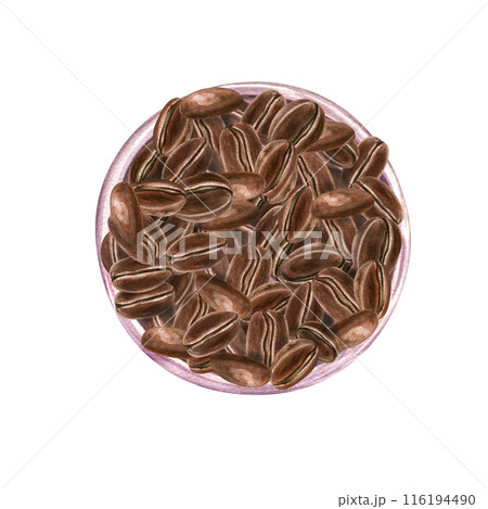 Roasted coffee beans on pink plate. Aroma ingredient for morning invigorating aromatic drink. Top view. Perfect for coffee related projects, advertising, or digital art. Watercolor illustration. Roasted coffee beans on pink plate. Aroma ingredient for morning invigorating aromatic drink. Top view. Perfect for coffee related projects, advertising, or digital art. Watercolor illustration. 116194490