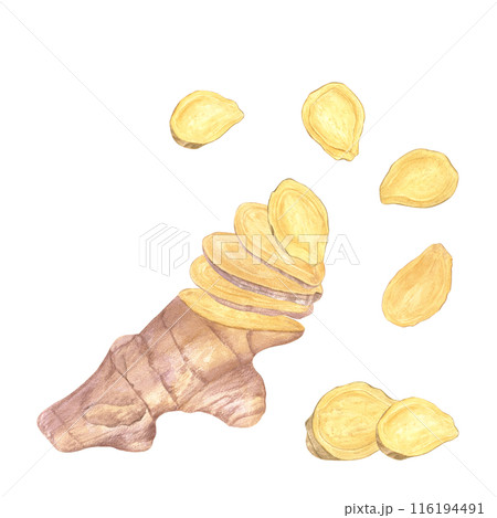 Ginger root heap. Whole and slices ginger. Watercolor illustration illustration isolated on white. Natural organic product for recipe, package. For treating colds, strengthening the immune system 116194491