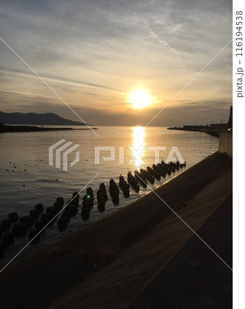 海に沈む夕日 116194538