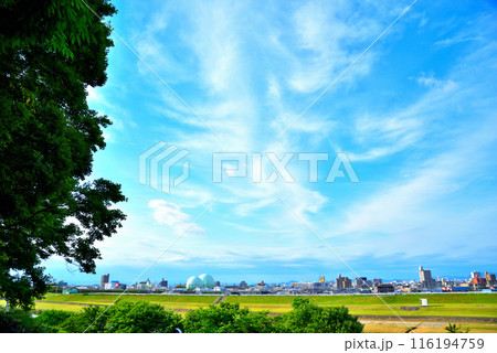 《愛知県》名古屋都市風景 矢田川河川敷公園より守山区方面街並み 《愛知県》名古屋都市風景 矢田川河川敷公園より守山区方面街並み 116194759