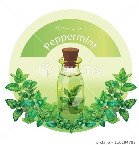 ペパーミントとペパーミントの精油瓶・精油・アロマ・芳香植物 ペパーミントとペパーミントの精油瓶・精油・アロマ・芳香植物 116194788