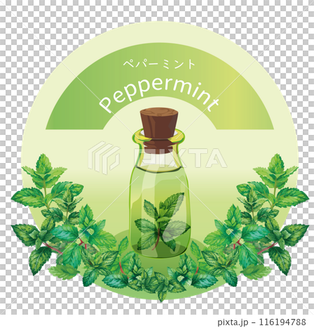 ペパーミントとペパーミントの精油瓶・精油・アロマ・芳香植物 ペパーミントとペパーミントの精油瓶・精油・アロマ・芳香植物 116194788