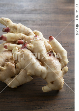 新生姜 新生姜 116195043