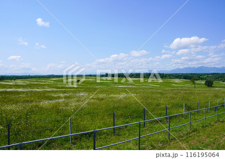 十勝牧場展望台からの眺め 116195064