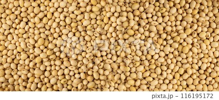 Raw dehydrated soybeans isolated on white background 116195172