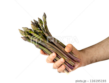 Raw Garden Asparagus, Fresh Green Spring Vegetables, Asparagus Officinalis Edible Sprouts 116195193