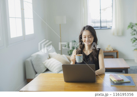 リビングでテレワークをする若い女性 リビングでテレワークをする若い女性 116195356