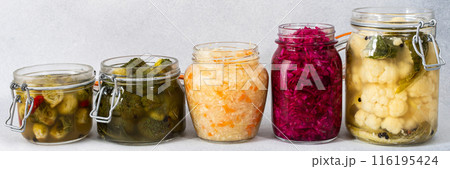 Cabbage fermentation, sauerkraut Cabbage fermentation, sauerkraut 116195424