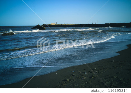 海 海 116195814