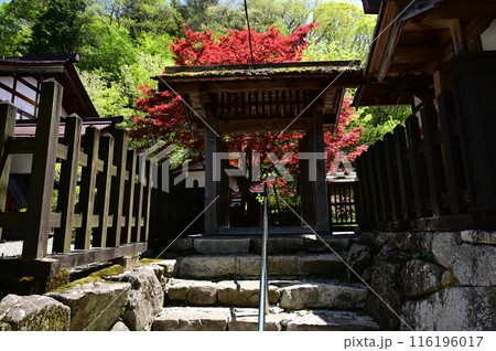 福島関所資料館 中山道木曽福島 福島関所資料館 中山道木曽福島 116196017