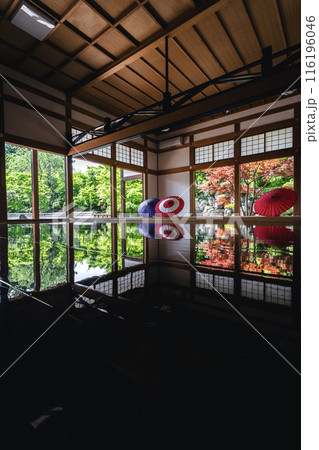 宝徳寺の春の床もみじ 縦 斜め 116196046