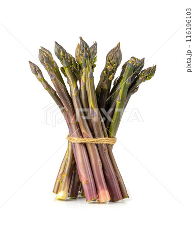 Purple Asparagus Isolated, Raw Garden Vegetables Bunch, Fresh Edible Sprouts of Red Asparagus Officinalis Purple Asparagus Isolated, Raw Garden Vegetables Bunch, Fresh Edible Sprouts of Red Asparagus Officinalis 116196103