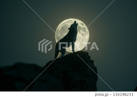 月光下で遠吠えするオオカミ 116196231