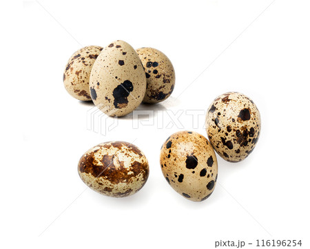 Quail Eggs, Diet Egg, Healthy Breakfast, Natural Organic Nutrition, Salad Ingredient Spotted Quail Egg 116196254
